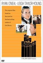 The Big Bounce niter