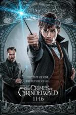 Watch Fantastic Beasts: The Crimes of Grindelwald Niter