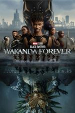 Watch Black Panther: Wakanda Forever Niter