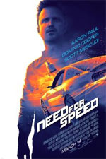Watch Need for Speed Niter