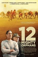 Watch 12 Mighty Orphans Niter