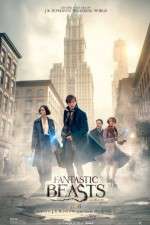 Watch Fantastic Beasts and Where to Find Them Niter