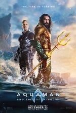 Aquaman and the Lost Kingdom niter