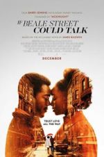 Watch If Beale Street Could Talk Niter