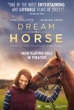 Watch Dream Horse Niter