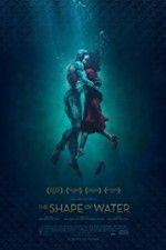 Watch The Shape of Water Niter