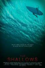 Watch The Shallows Niter