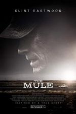 Watch The Mule Niter