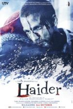Watch Haider Niter
