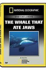 Watch Predator CSI The Whale That Ate Jaws Niter