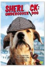 Watch Sherlock Undercover Dog Niter