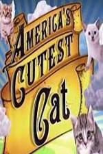 Watch America's Cutest Cat Niter