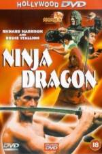 Watch Ninja Dragon Niter