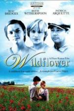 Watch Wildflower Niter