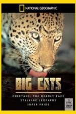 Watch National Geographic: Living With Big Cats Niter
