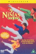Watch 3 Ninjas Kick Back Niter
