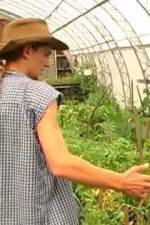 Watch Green House Seeds Strain Hunters India Expedition Niter