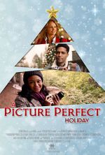 Watch A Picture Perfect Holiday Niter