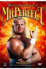 Watch The Life and Times of Mr Perfect Niter