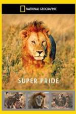 Watch National Geographic: Super Pride Africa\'s Largest Lion Pride Niter