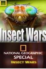 Watch National Geographic Insect Wars Niter
