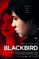 Watch Blackbird Niter