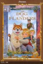 Watch The Dog of Flanders Niter