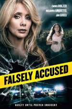 Watch Falsely Accused Niter