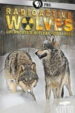 Watch Radioactive Wolves Niter
