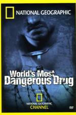 Watch Worlds Most Dangerous Drug Niter