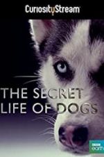 Watch Secret Life of Dogs Niter