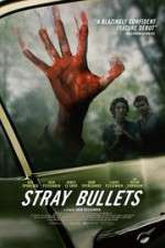 Watch Stray Bullets Niter