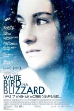 Watch White Bird in a Blizzard Niter