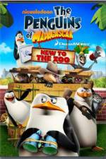 Watch Penguins of Madagascar New to the Zoo Niter