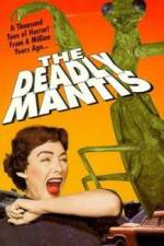 Watch The Deadly Mantis Niter