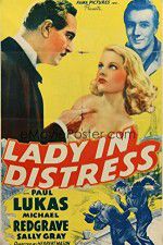 Watch Lady in Distress Niter