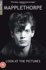 Watch Mapplethorpe: Look at the Pictures Niter