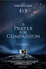 Watch A Prayer for Compassion Niter
