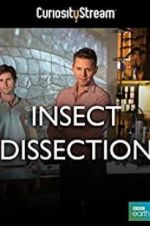 Watch Insect Dissection: How Insects Work Niter