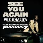 Watch Wiz Khalifa Ft. Charlie Puth: See You Again Niter