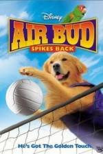 Watch Air Bud Spikes Back Niter