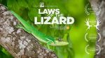 Watch Laws of the Lizard Niter