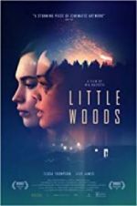 Watch Little Woods Niter