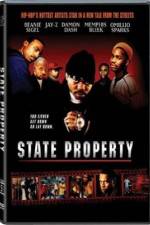 Watch State Property Niter