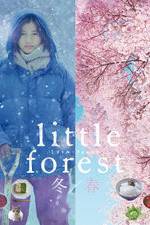 Watch Little Forest: Winter/Spring Niter