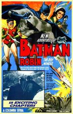 Watch Batman and Robin Niter