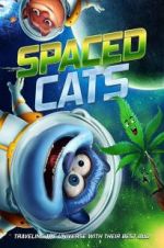 Watch Spaced Cats Niter