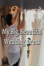 Watch My Big Beautiful Wedding Dress Niter