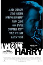 Watch Handsome Harry Niter
