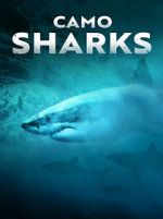 Watch Camo Sharks Niter